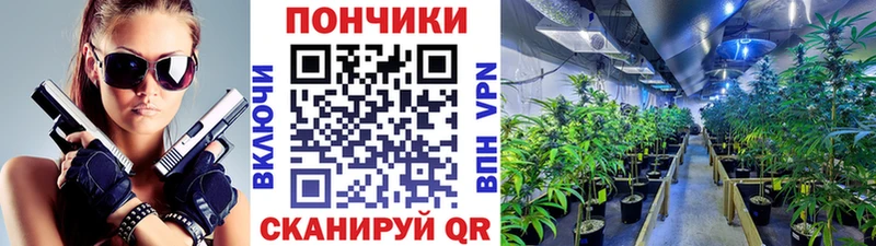 Купить закладку Конопля  Кокаин  СОЛЬ  АМФ  Гашиш  Мефедрон  Ливны