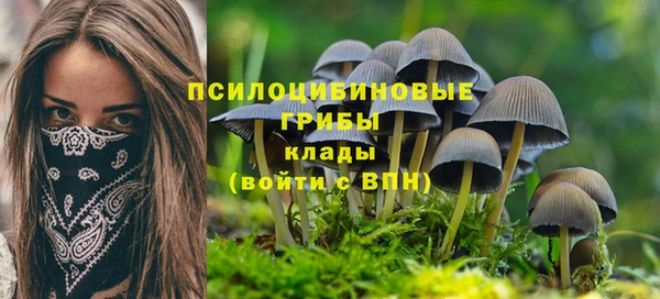 ГАЛЛЮЦИНОГЕННЫЕ ГРИБЫ Володарск